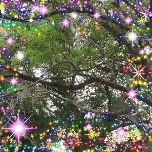 Meet your Posher, Cathy